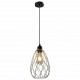 Подвесной светильник TopLight Martha TL1191H-01SL