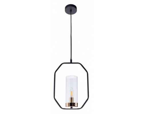 Подвесной светильник Arte Lamp Celaeno A7004SP-1BK