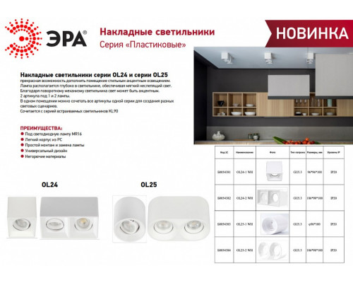 Накладной светильник Эра OL24-2 WH Б0054382