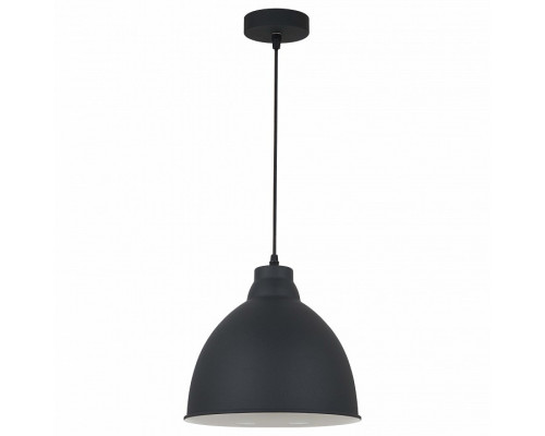 Подвесной светильник Arte Lamp Braccio A2055SP-1BK