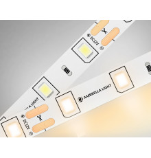 Лента светодиодная Ambrella Light GS GS1001