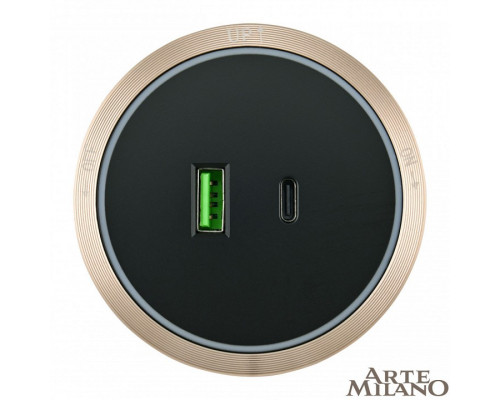 Розетка USB и type C на треке Arte Milano Am-track-sockets 380066TS LED/USB-Type-C Gold