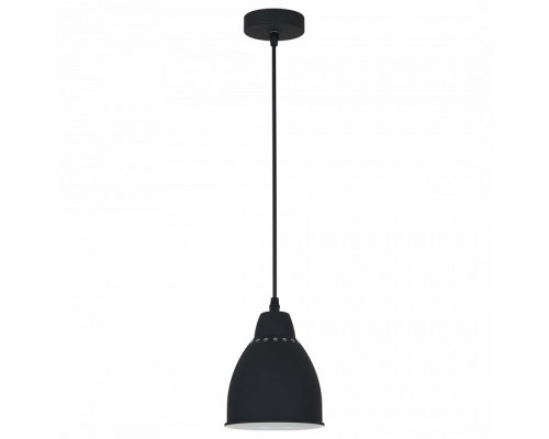 Подвесной светильник Arte Lamp Braccio A2054SP-1BK