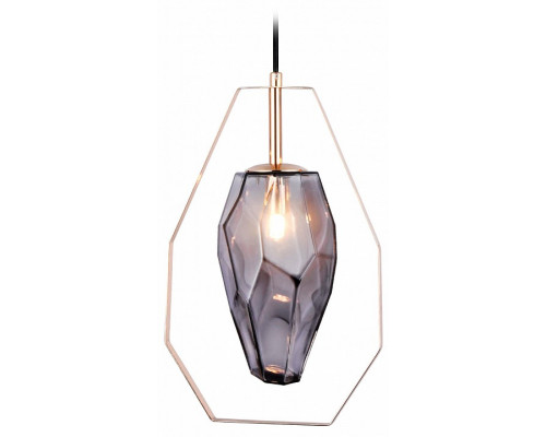 Подвесной светильник Ambrella Light TR TR3627