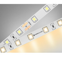 Лента светодиодная Ambrella Light GS GS3001