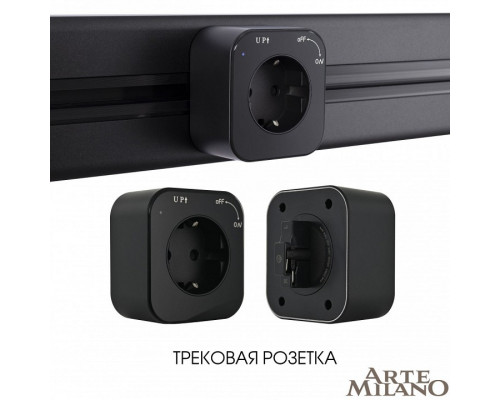 Розетка с заземлением на треке Arte Milano Am-track-sockets 380022TS/ES Black