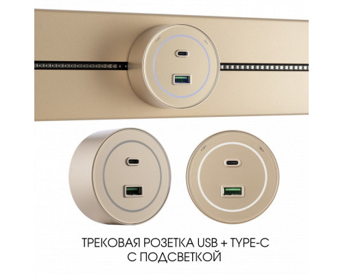 Розетка USB и type C на треке Arte Milano Am-track-sockets-39 399732TS/USB-Type-C Gold