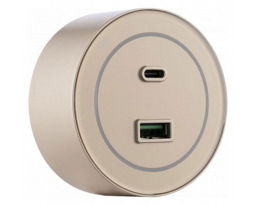 Розетка USB и type C на треке Arte Milano Am-track-sockets-39 399732TS/USB-Type-C Gold