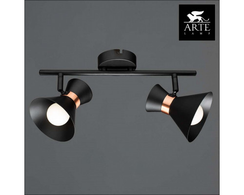 Спот Arte Lamp Baltimore A1406AP-2BK