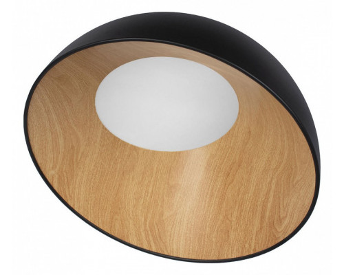 Накладной светильник Loft it Egg 10197/500 Black