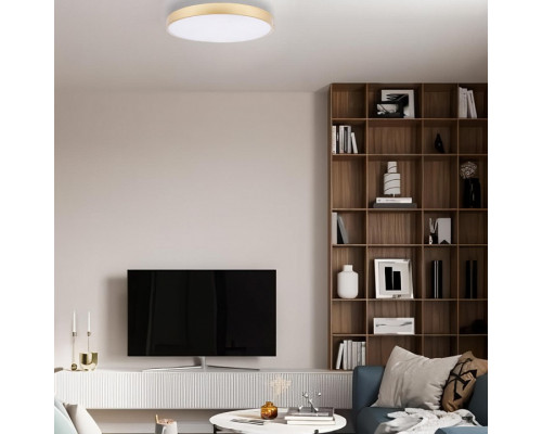 Накладной светильник Loft it Flims 10228/B