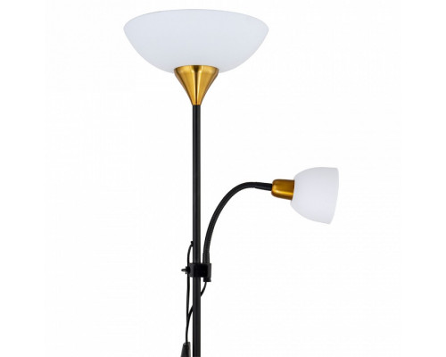 Торшер с подсветкой Arte Lamp Duetto A9569PN-2BK