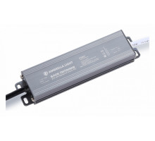 Блок питания с проводом Ambrella Light LED Driver GS9855