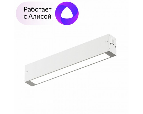 Накладной светильник Denkirs DK8003 DK8003-WH