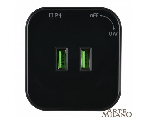 Розетка 2xUSB на треке Arte Milano Am-track-sockets 380022TS/USBx2 Black