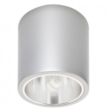 Накладной светильник Nowodvorski Downlight Silver 4867