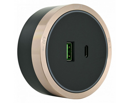 Розетка USB и type C на треке Arte Milano Am-track-sockets 380066TS LED/USB-Type-C Gold