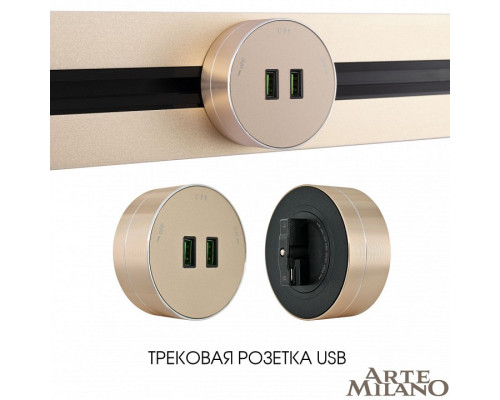 Розетка 2xUSB на треке Arte Milano Am-track-sockets 380011TS/USBx2 Gold