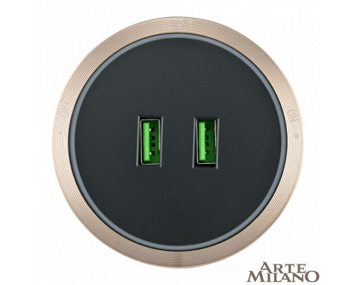 Розетка 2xUSB на треке Arte Milano Am-track-sockets 380066TS LED/USBx2 Gold