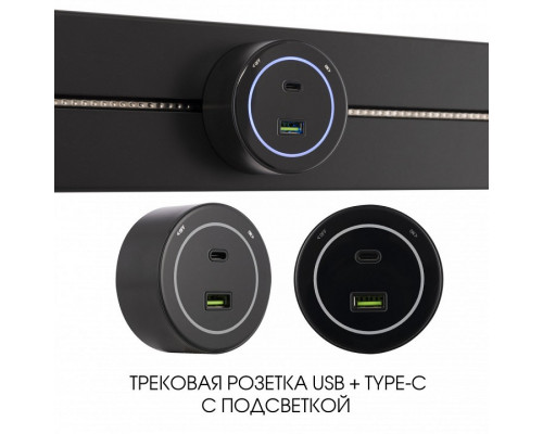 Розетка USB и type C на треке Arte Milano Am-track-sockets-39 399732TS/USB-Type-C Black