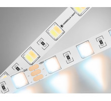 Лента светодиодная Ambrella Light GS GS4101