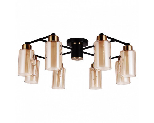 Потолочная люстра Arte Lamp Leo A7027PL-8BK