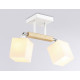 Светильник на штанге Ambrella Light TR TR9511