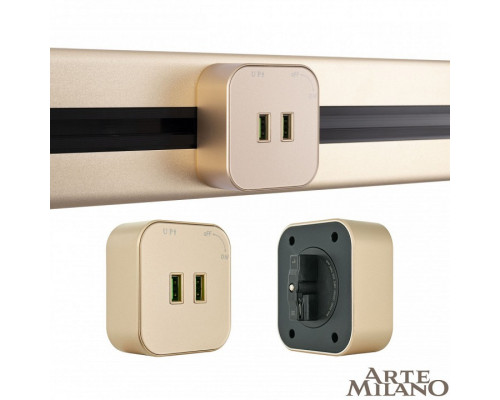 Розетка 2xUSB на треке Arte Milano Am-track-sockets 380022TS/USBx2 Gold