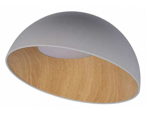 Накладной светильник Loft it Egg 10197/500 Grey