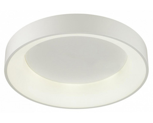 Накладной светильник Odeon Light Sole 4066/40CL