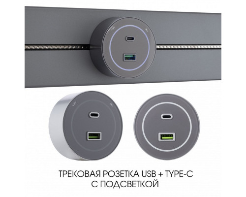 Розетка USB и type C на треке Arte Milano Am-track-sockets-39 399732TS/USB-Type-C Grey