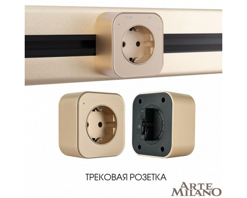 Розетка с заземлением на треке Arte Milano Am-track-sockets 380022TS/ES Gold