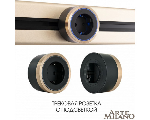 Розетка с заземлением на треке Arte Milano Am-track-sockets 380066TS LED/ES Gold