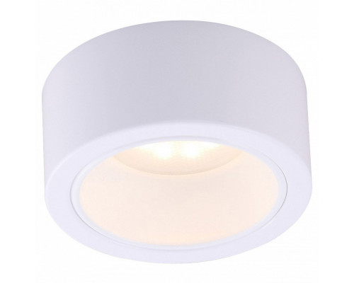 Накладной светильник Arte Lamp Effetto A5553PL-1WH