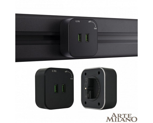 Розетка 2xUSB на треке Arte Milano Am-track-sockets 380022TS/USBx2 Black