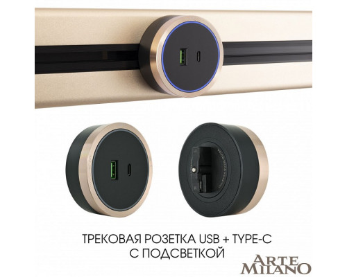 Розетка USB и type C на треке Arte Milano Am-track-sockets 380066TS LED/USB-Type-C Gold