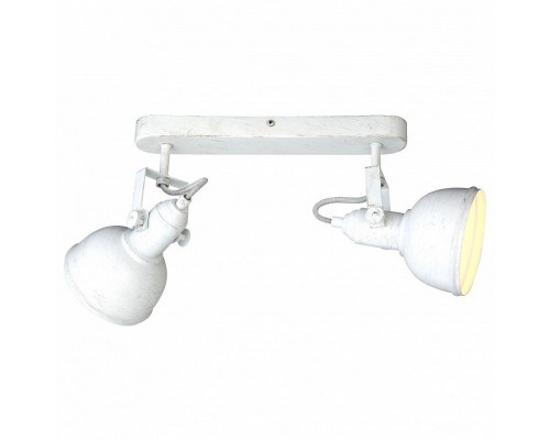 Спот Arte Lamp Martin A5213AP-2WG