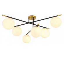 Потолочная люстра Arte Lamp Alcor A2224PL-6BK