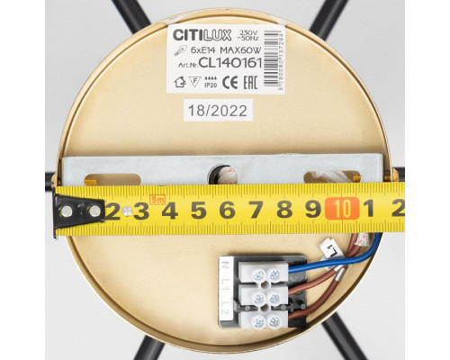 Люстра на штанге Citilux Бертон CL140161