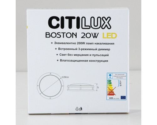 Накладной светильник Citilux Бостон CL709205N