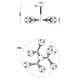 Люстра на штанге Freya Amy FR5105CL-06W