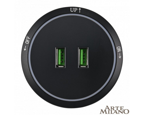 Розетка 2xUSB на треке Arte Milano Am-track-sockets 380066TS LED/USBx2 Black