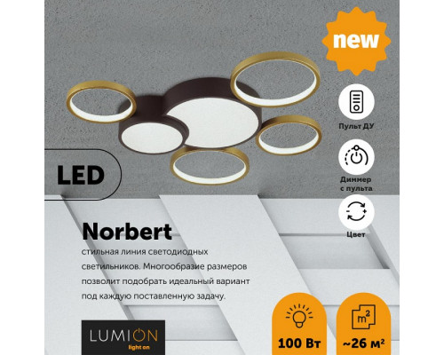 Потолочная люстра Lumion Norbert 5255/99CL