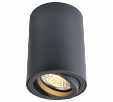 Накладной светильник Arte Lamp Sentry A1560PL-1BK