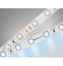 Лента светодиодная Ambrella Light GS GS3003