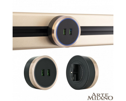 Розетка 2xUSB на треке Arte Milano Am-track-sockets 380066TS LED/USBx2 Gold