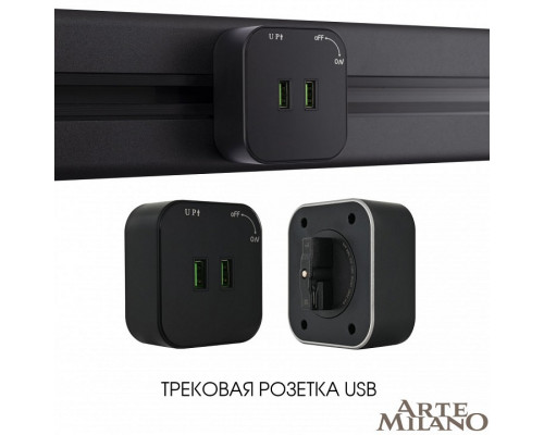 Розетка 2xUSB на треке Arte Milano Am-track-sockets 380022TS/USBx2 Black