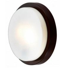 Накладной светильник Odeon Light Holger 2744/2C