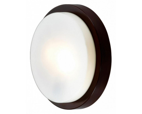 Накладной светильник Odeon Light Holger 2744/2C