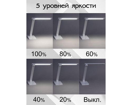 Настольная лампа офисная Citilux Ньютон CL803080